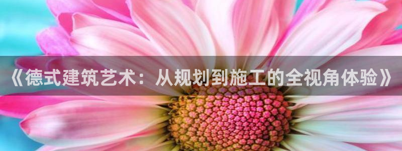 意昂体育3平台注册要钱吗安全吗：《德式建筑艺术：从规划到施工的全视角体验》