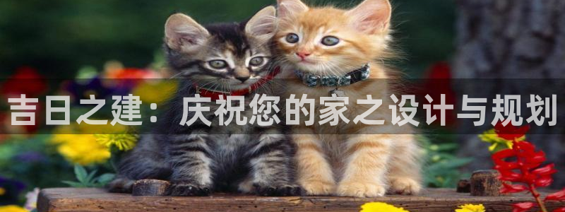 意昂体育3平台APP
