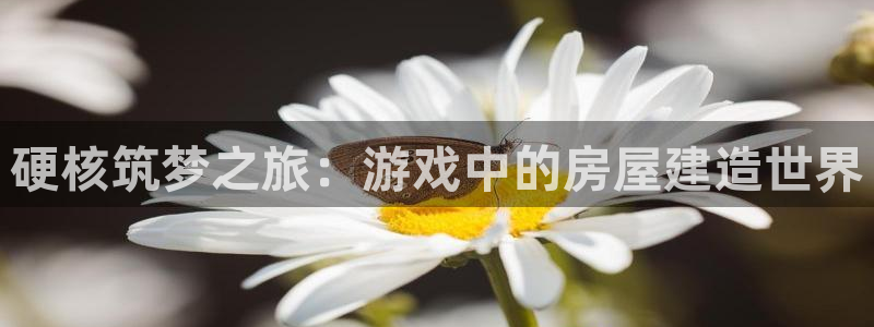 意昂体育3平台是正规平台吗：硬核筑梦之旅：游戏中的房屋建造世界