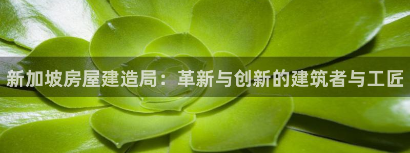 意昂体育3平台假的吗是真的吗：新加坡房屋建造局：革新与创新的建筑者与工匠