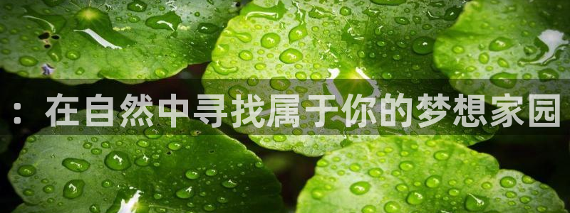 意昂体育3招商电话地址查询：：在自然中寻找属于你的梦想家园