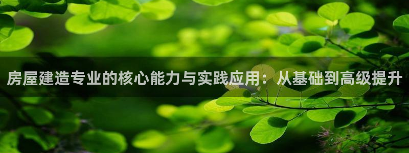 意昂体育3招商电话号码查询是多少：房屋建造专业的核心能力与实践应用：从基础到高级提升
