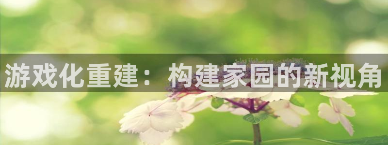意昂3官网：游戏化重建：构建家园的新视角