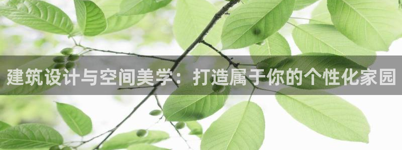 意昂体育3官方客服电话