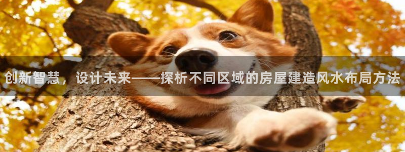 意昂3娱乐网站：创新智慧，设计未来——探析不同区域的房屋建造风水布局方法