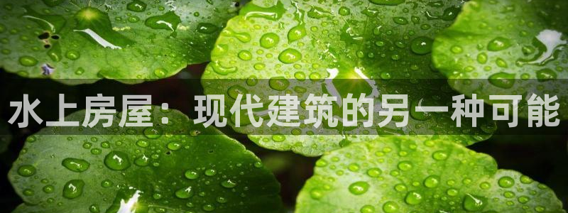 意昂体育3软件：水上房屋：现代建筑的另一种可能