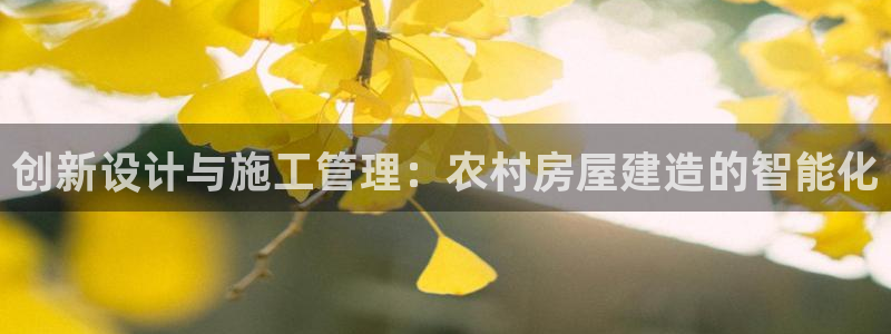 意昂3娱乐首页网站大全：创新设计与施工管理：农村房屋建造的智能化