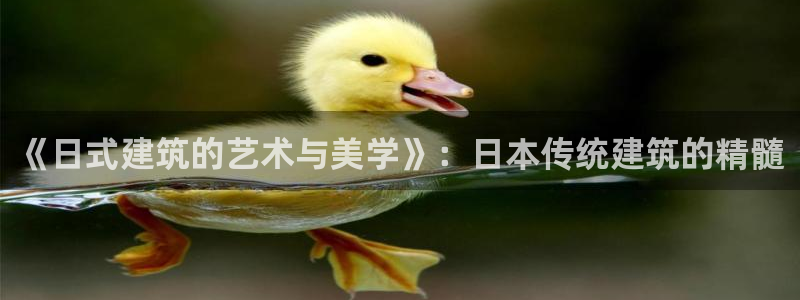 意昂体育3平台注册要钱吗安全吗：《日式建筑的艺术与美学》：日本传统建筑的精髓
