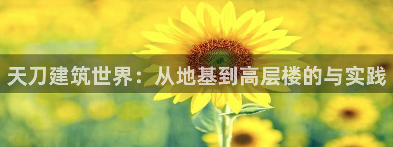 意昂3集团官网首页网址：天刀建筑世界：从地基到高层楼的与实践