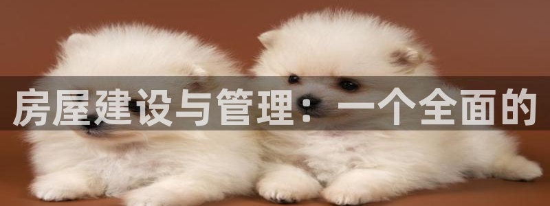 意昂体育3招商电话地址查询：房屋建设与管理：一个全面的