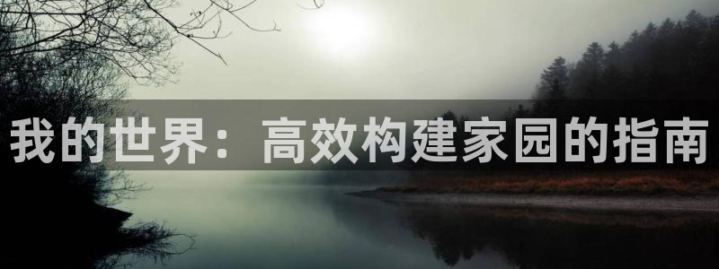 意昂平台体育：我的世界：高效构建家园的指南
