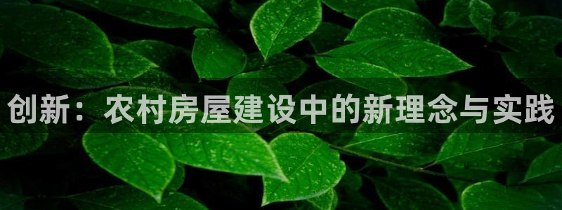 意昂体育3官方客服电话：创新：农村房屋建设中的新理念与实践