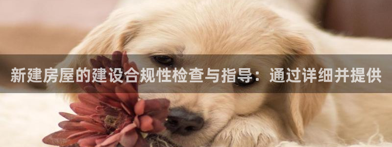 意昂体育3平台是正规平台吗安全吗：新建房屋的建设合规性检查与指导：通过详细并提供