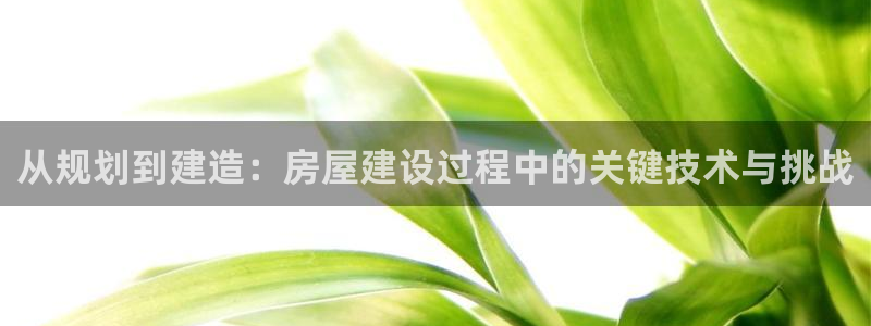 意昂3娱乐40996：从规划到建造：房屋建设过程中的关键技术与挑战