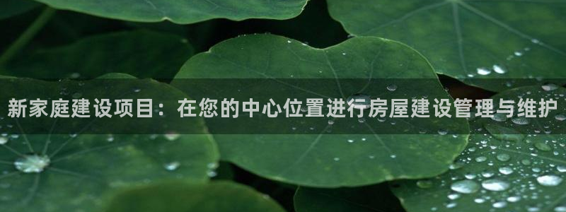 意昂3集团官网首页：新家庭建设项目：在您的中心位置进行房屋建设管理与维护