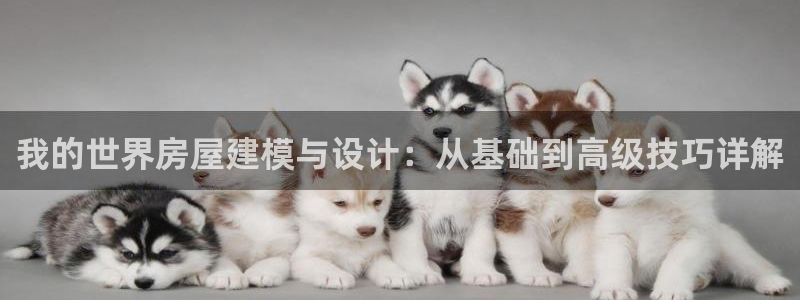 意昂体育3注册：我的世界房屋建模与设计：从基础到高级技巧详解