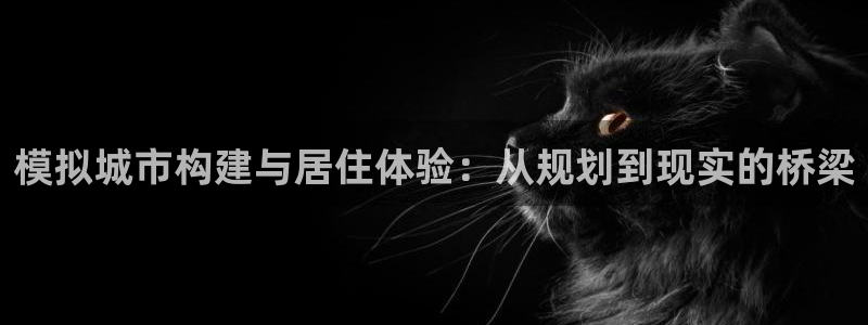 意昂3娱乐网站：模拟城市构建与居住体验：从规划到现实的桥梁