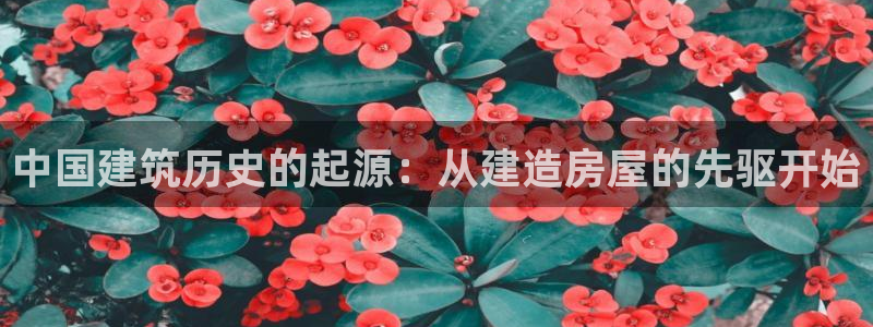 意昂体育3是干嘛的公司：中国建筑历史的起源：从建造房屋的先驱开始