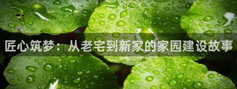 海南意昂体育3：匠心筑梦：从老宅到新家的家园建设故事