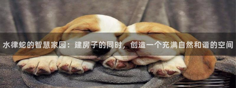 意昂体育3软件