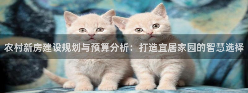 意昂体育3平台假的吗是真的吗吗：农村新房建设规划与预算分析：打造宜居家园的智慧选择