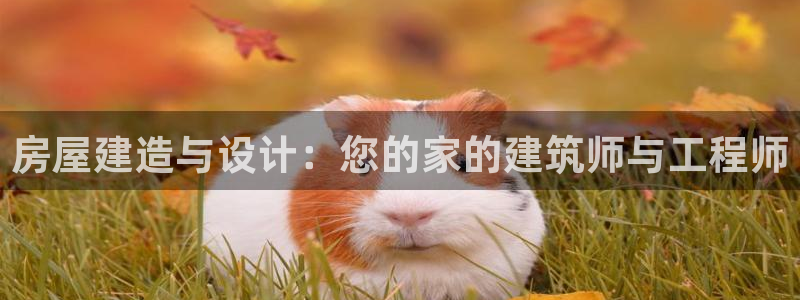 意昂体育3开户：房屋建造与设计：您的家的建筑师与工程师