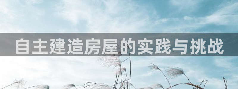 意昂体育3是干嘛的公司：自主建造房屋的实践与挑战