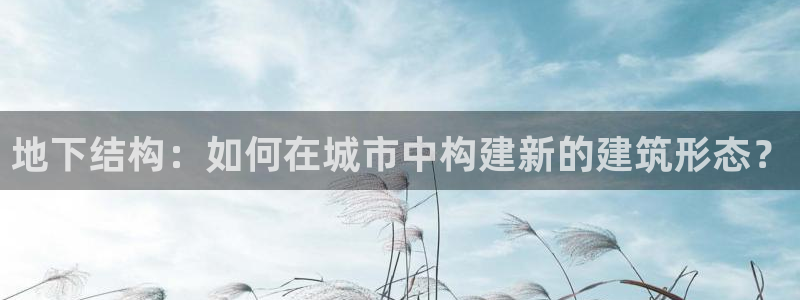 意昂体育3招商电话是多少：地下结构：如何在城市中构建新的建筑形态？