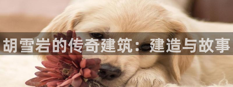 海南意昂体育3发展怎么样：胡雪岩的传奇建筑：建造与故事