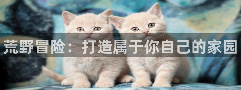 意昂3娱乐：荒野冒险：打造属于你自己的家园