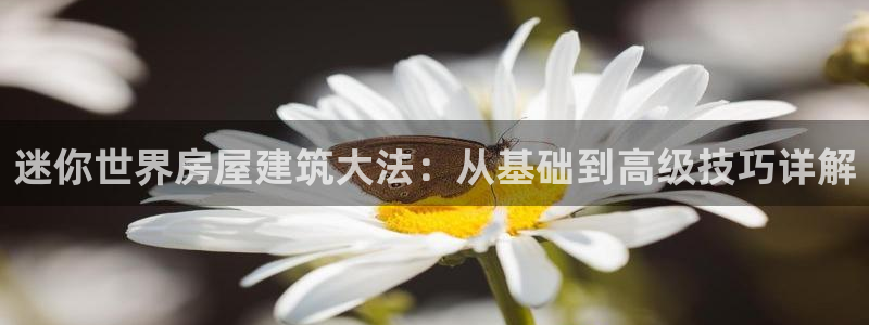 意昂3集团官网首页：迷你世界房屋建筑大法：从基础到高级技巧详解