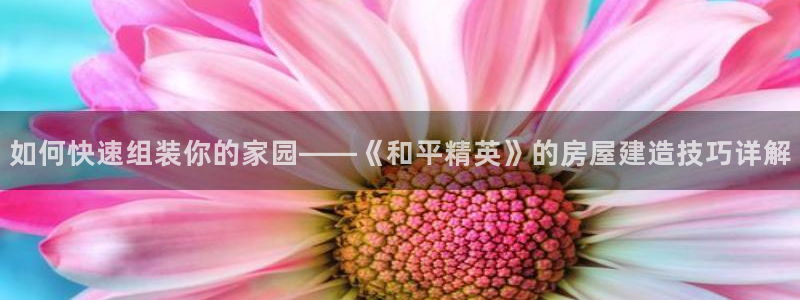 意昂3集团官网首页：如何快速组装你的家园——《和平精英》的房屋建造技巧详解