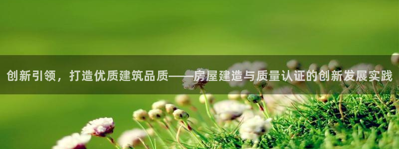意昂体育3平台：创新引领，打造优质建筑品质——房屋建造与质量认证的创新发展实践