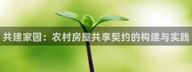 意昂体育3平台注册要钱吗：共建家园：农村房屋共享契约的构建与实践