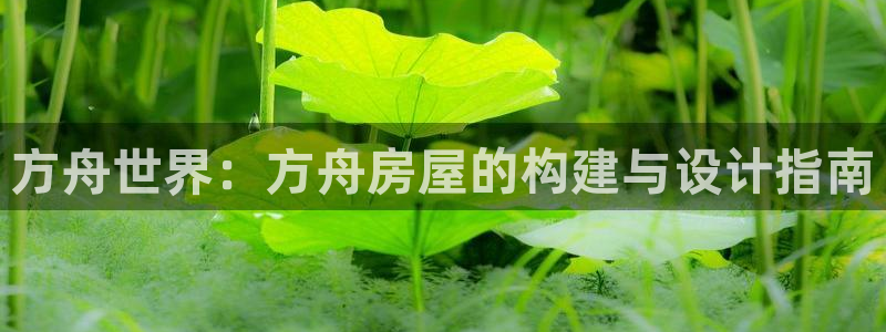 意昂3开户：方舟世界：方舟房屋的构建与设计指南
