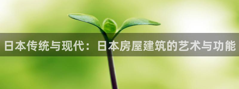 意昂体育3是干嘛的公司：日本传统与现代：日本房屋建筑的艺术与功能