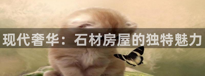 意昂体育3平台注册要钱吗是真的吗：现代奢华：石材房屋的独特魅力