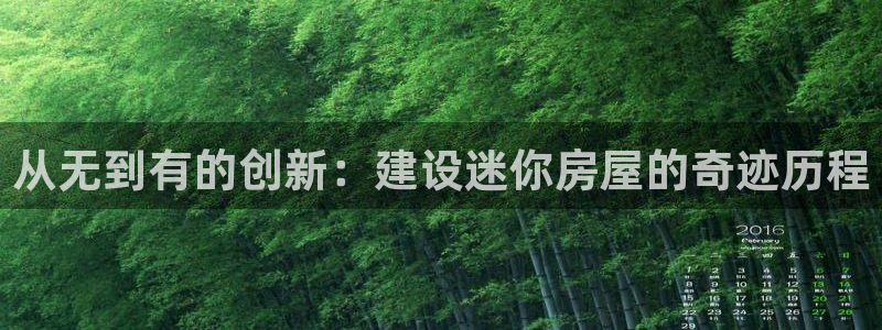 意昂体育3注册：从无到有的创新：建设迷你房屋的奇迹历程