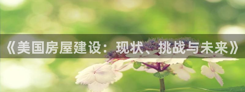 意昂体育3联系电话：《美国房屋建设：现状、挑战与未来》