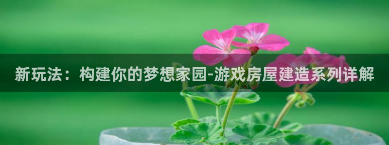 意昂体育3软件：新玩法：构建你的梦想家园-游戏房屋建造系列详解