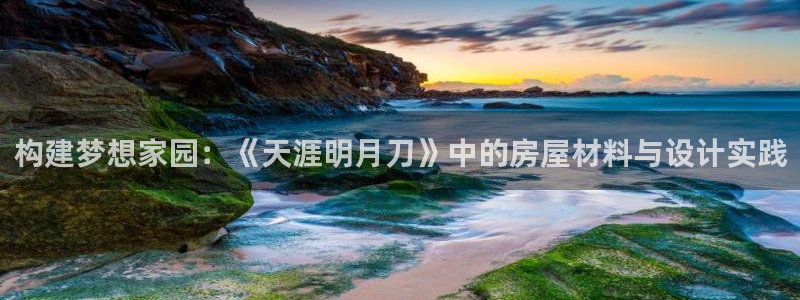 意昂体育3平台：构建梦想家园：《天涯明月刀》中的房屋材料与设计实践
