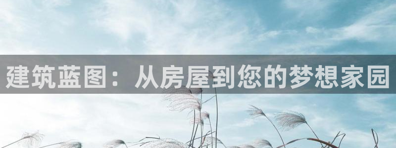 意昂3娱乐首页官网下载：建筑蓝图：从房屋到您的梦想家园
