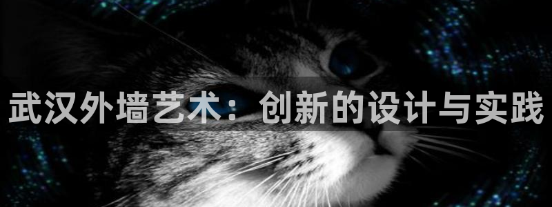 意昂体育3招商电话号码查询：武汉外墙艺术：创新的设计与实践