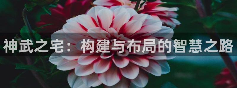 意昂体育3招商电话号码查询是多少：神武之宅：构建与布局的智慧之路