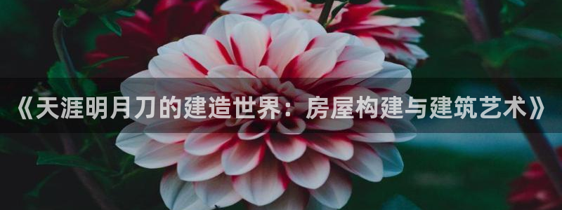 意昂3娱乐下载：《天涯明月刀的建造世界：房屋构建与建筑艺术》