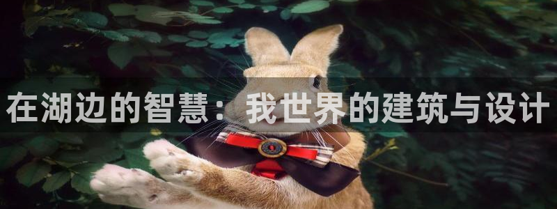 意昂体育3娱乐：在湖边的智慧：我世界的建筑与设计