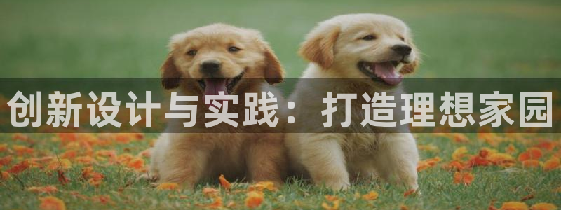 意昂3新能源：创新设计与实践：打造理想家园