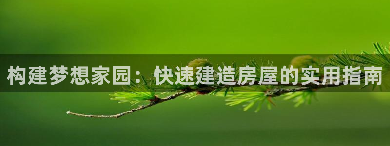 意昂体育3联系电话：构建梦想家园：快速建造房屋的实用指南