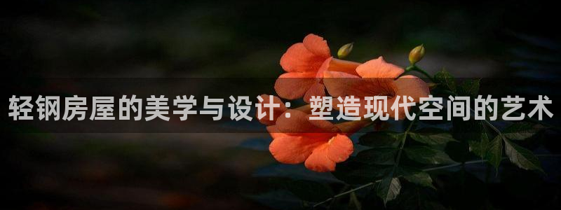 意昂3神州：轻钢房屋的美学与设计：塑造现代空间的艺术