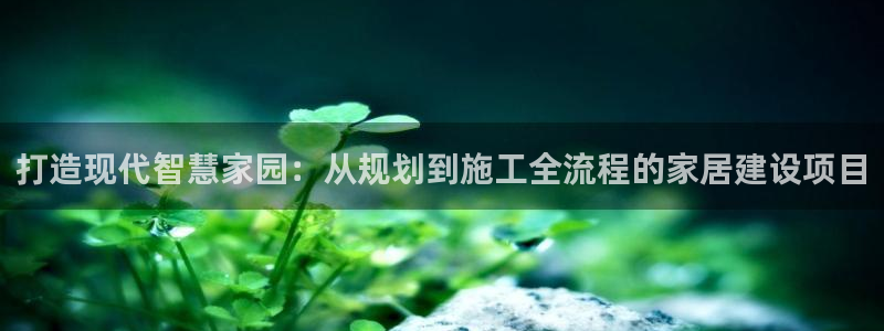 意昂3集团：打造现代智慧家园：从规划到施工全流程的家居建设项目